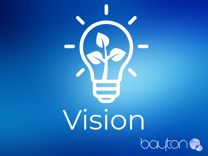 Vision