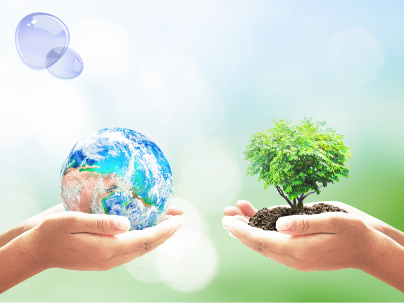 environmental sustainability