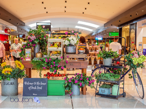 pop-up kiosk