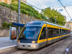 public fleet