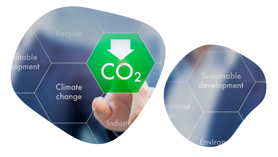 sustainab